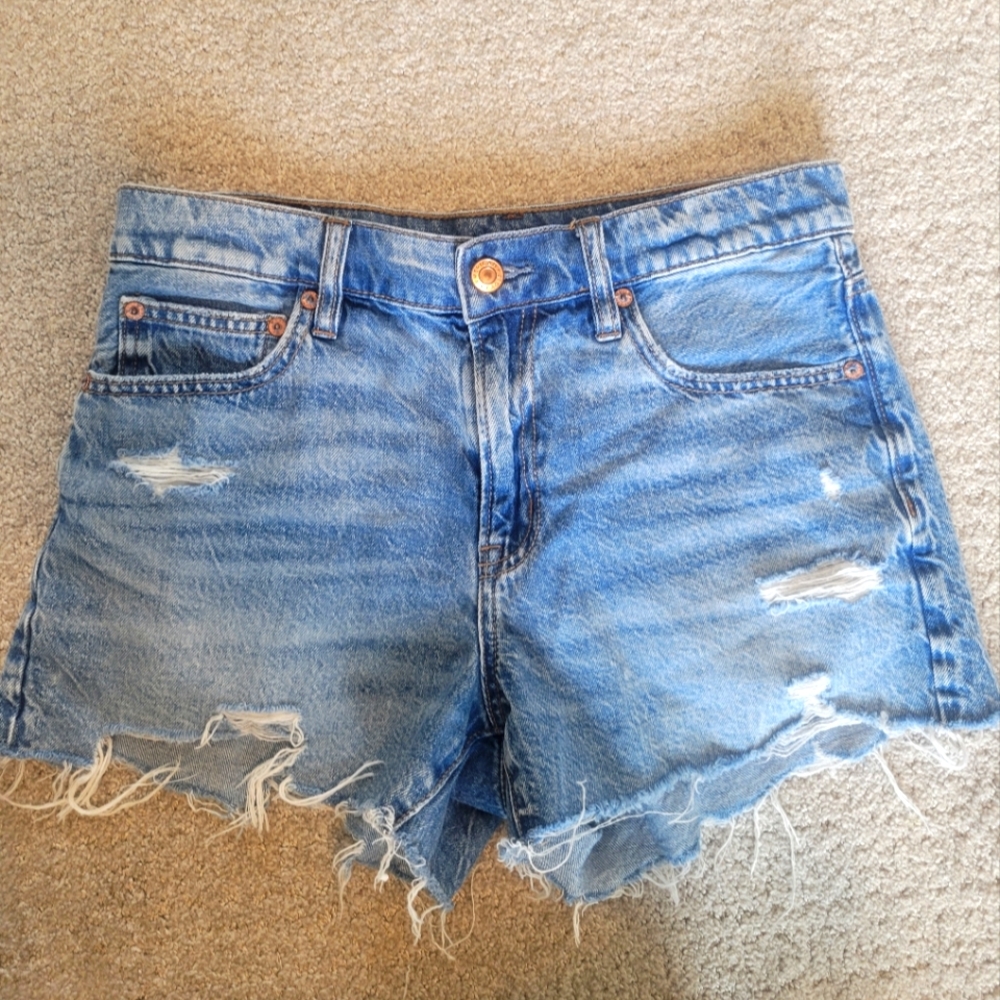 American Eagle Denim Shorts